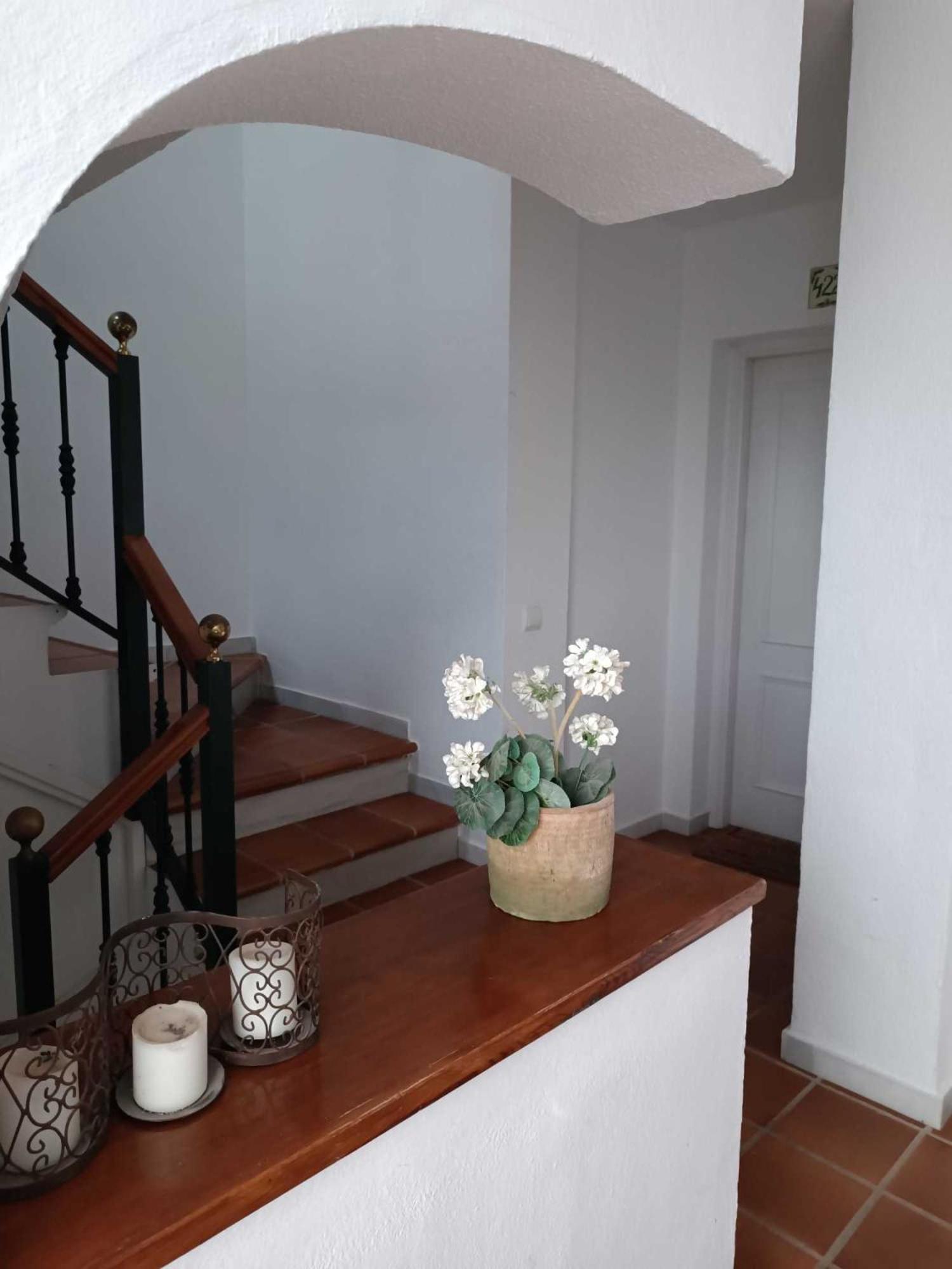 Apartamento En Paraiso Al Mar Apartemen *